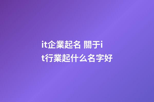 it企業起名 關于it行業起什么名字好